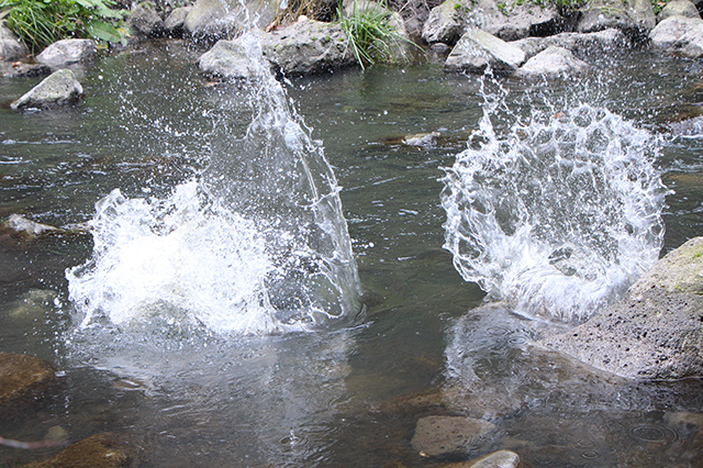 Heather Hesterman, Deep Time, Spensley Street Primary School