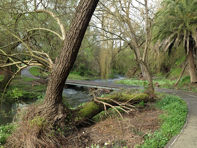 Heather Hesterman, Deep Time