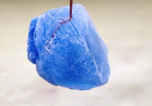 Heather Hesterman, Peradam Projects