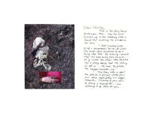 Heather Hesterman, FLOW, Counihan Gallery