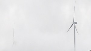 Heather Hesterman, FLOW, Counihan Gallery