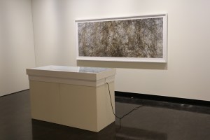 Heather Hesterman, FLOW, Counihan Gallery
