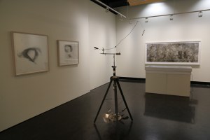 Heather Hesterman, FLOW, Counihan Gallery