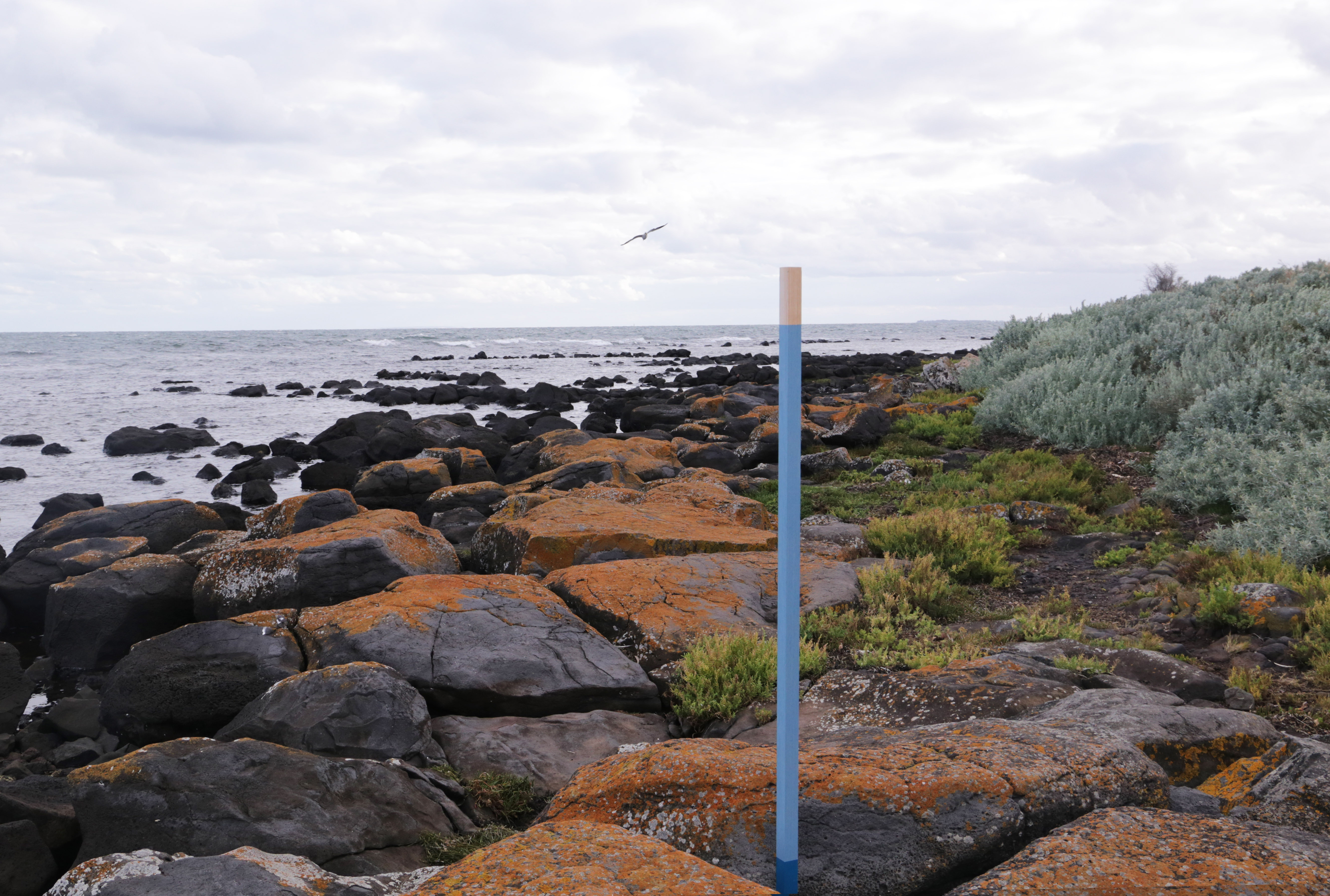 Heather Hesterman, Lab-14, Carlton Connect