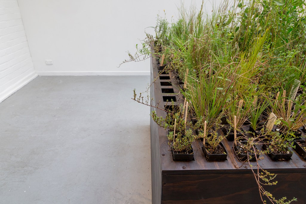 Heather Hesterman, Fieldwork, Ovens and Merri, Red Gallery