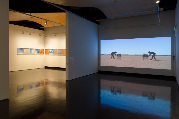 Heather Hesterman, Garden, Counihan Gallery