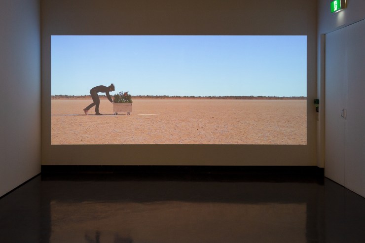 Heather Hesterman, Garden, Counihan Gallery