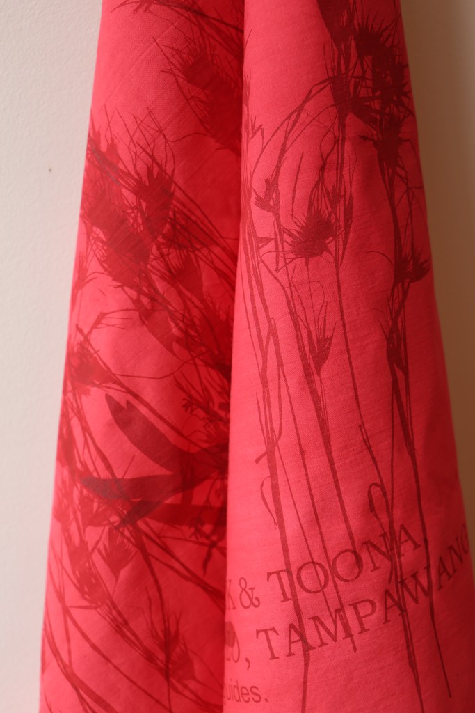 Heather Hesterman, Garden, Counihan Gallery